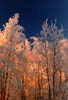 Fire and Ice