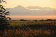 Iliamna Volcano