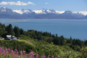 Homer Spit