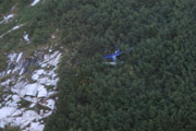 plane wreck