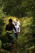 fern garden