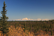 Wrangell Mountains