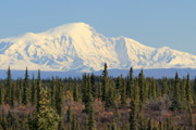 Mt. Sanford