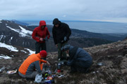 Turnagain
